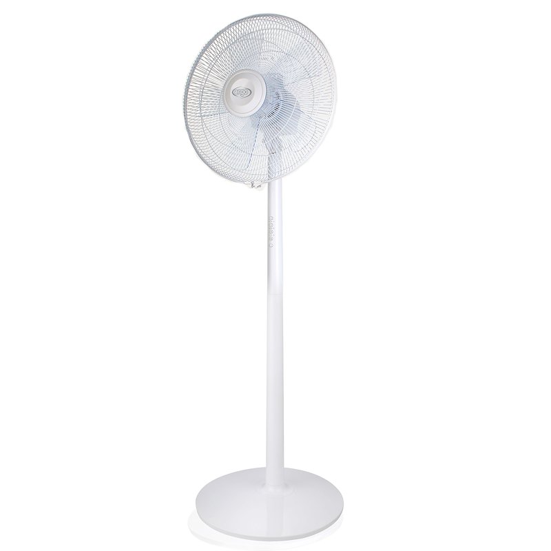 Argo - Standy Evo White