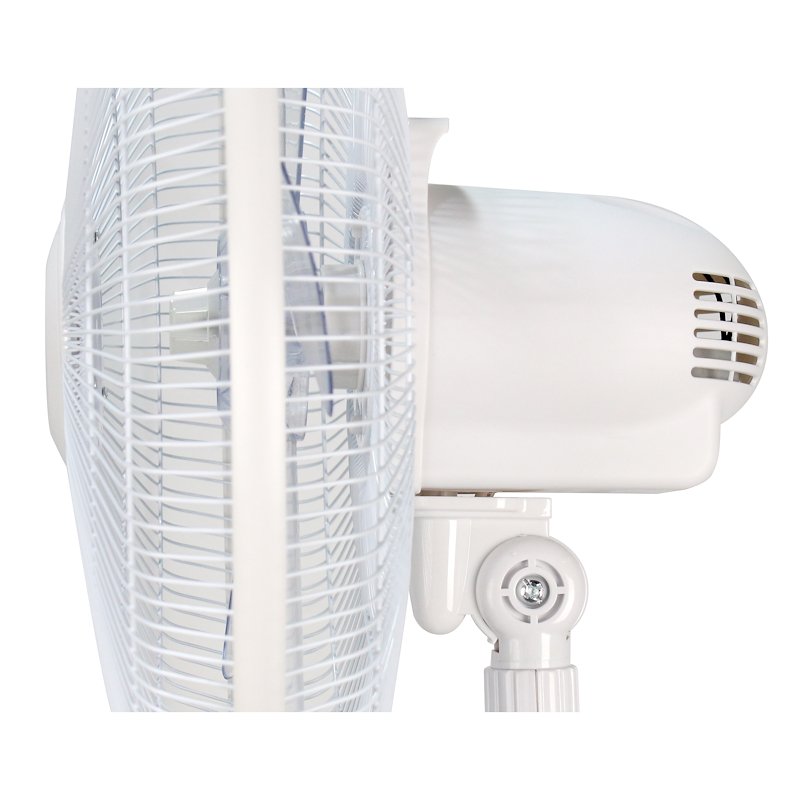 Argo - Standy Evo White