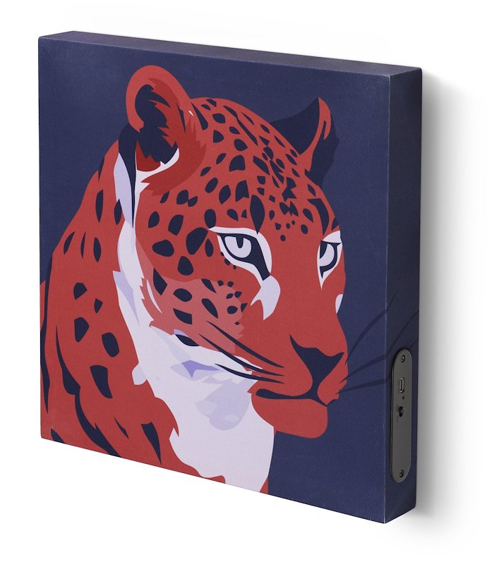 Cellular Line Cassa Bluethooth BTSPKFRAME4 Tigre