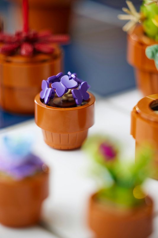 Lego® ICONS PIANTINE- 10329