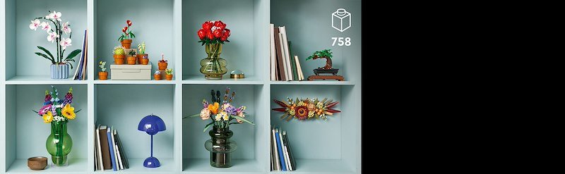 Lego® ICONS PIANTINE- 10329