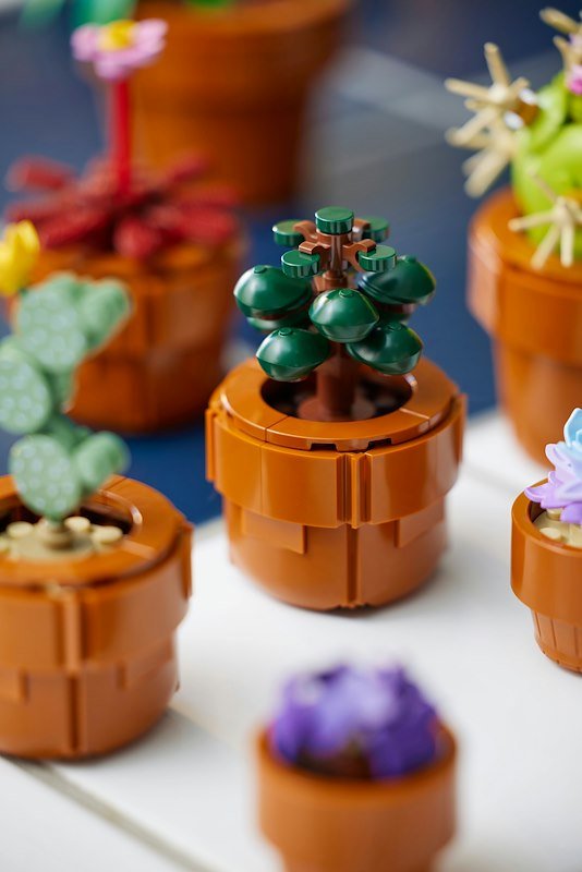 Lego® ICONS PIANTINE- 10329