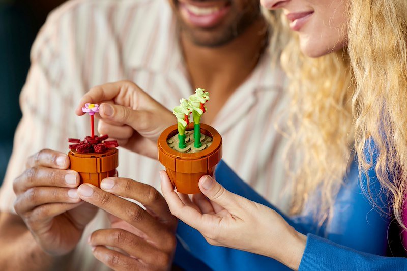 Lego® ICONS PIANTINE- 10329