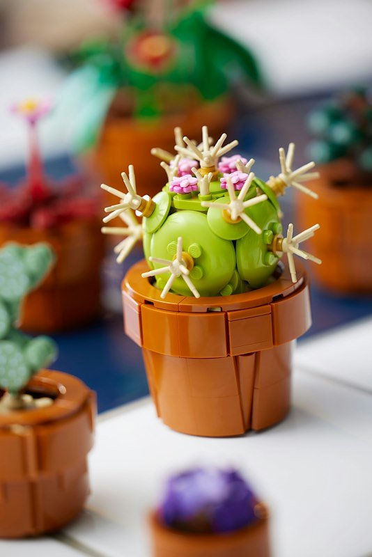 Lego® ICONS PIANTINE- 10329