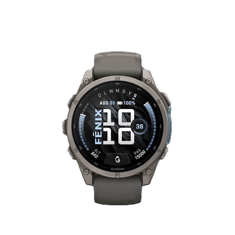 Garmin Smartwatch Fenix 9 47mm Pebble Gray
