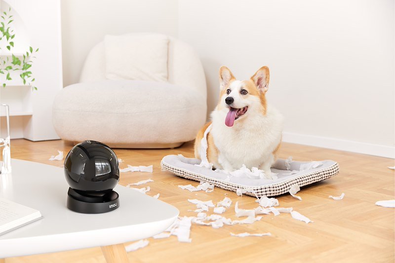 Imou Telecamera da interno motorizzata Rex 3d 3k Nero