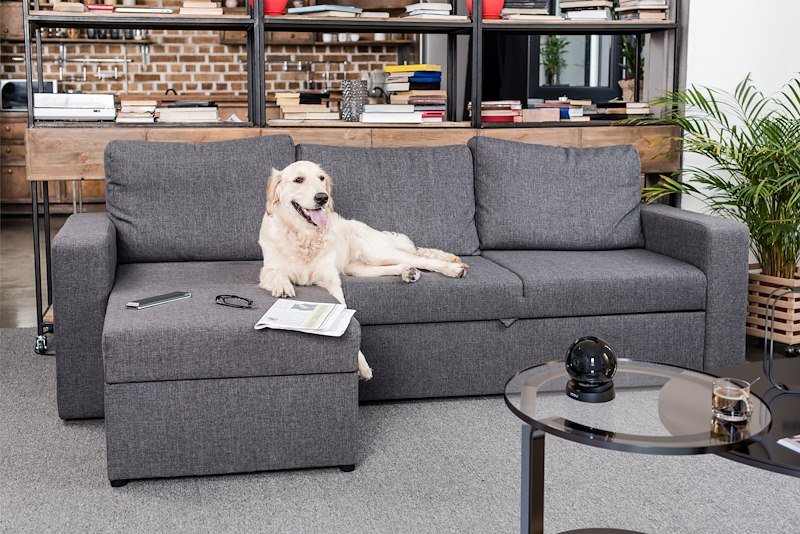 Imou Telecamera da interno motorizzata Rex 3d 3k Nero