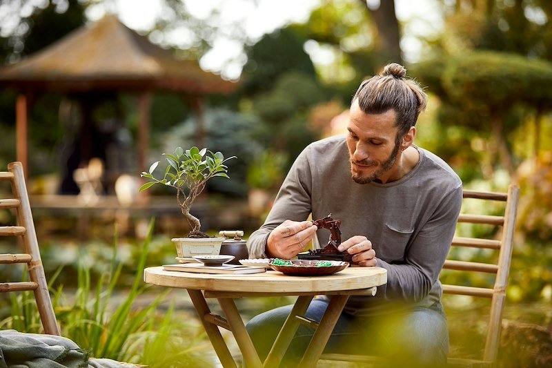 Lego Albero Bonsai 10281