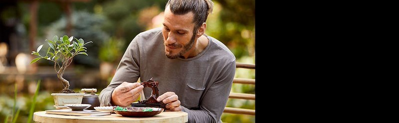 Lego Albero Bonsai 10281