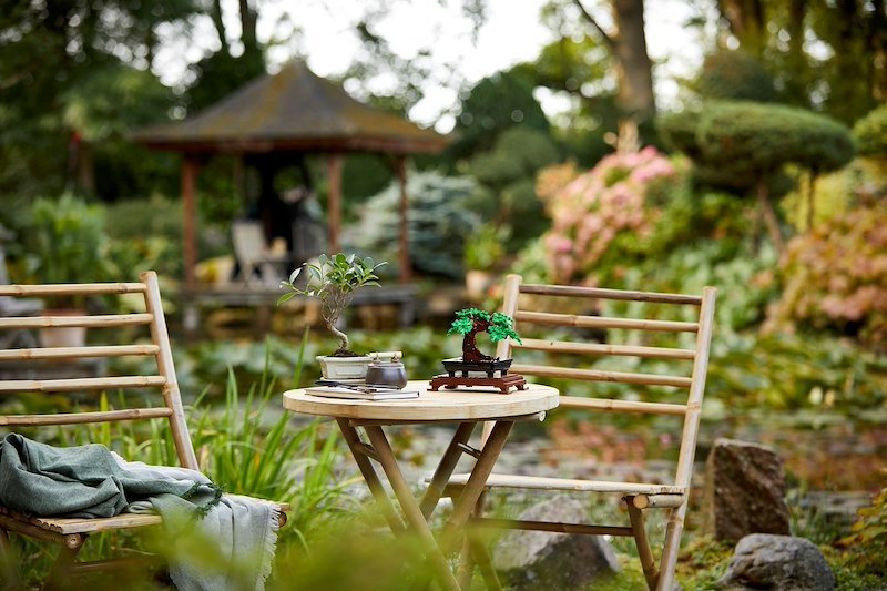 Lego Albero Bonsai 10281