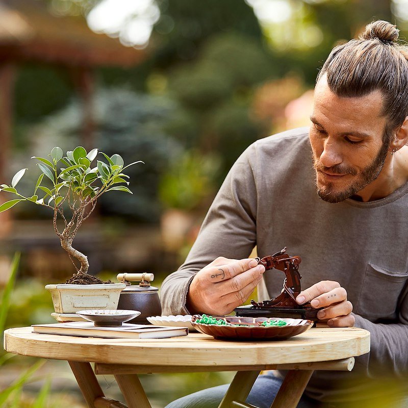 Lego Albero Bonsai 10281