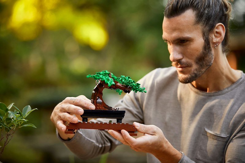 Lego Albero Bonsai 10281