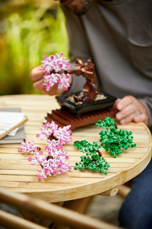 Lego Albero Bonsai 10281