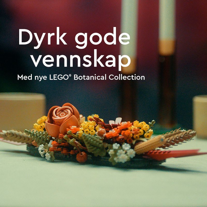 Lego Bouquet fiori selvatici 10313