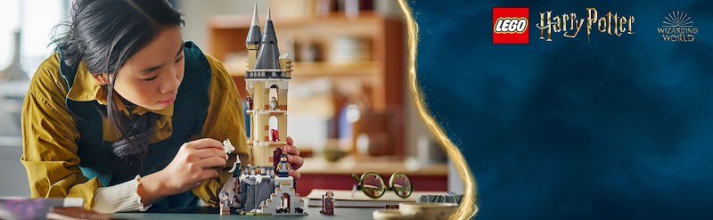 Lego Harry Potter Guferia del Castello di Hogwarts 76430