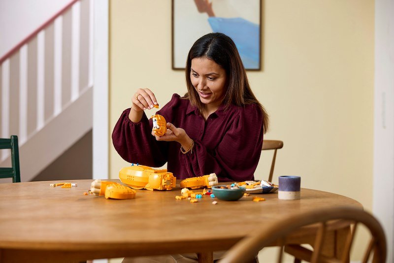 Lego® Giovane Simba - 43247