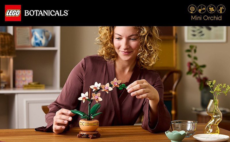 Lego Mini-Orchidea - 10343