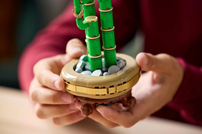 Lego Bambù del Buon Auspicio - 10344