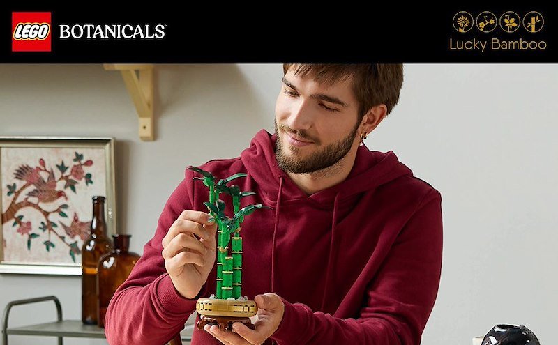 Lego Bambù del Buon Auspicio - 10344