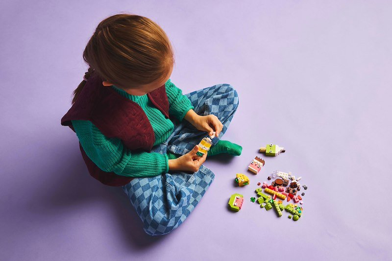 Lego Classic Alimenti creativi 11039