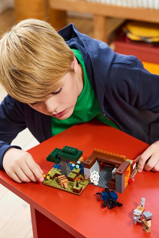 Lego Minecraft Spedizione nella miniera dell’armadillo 21269