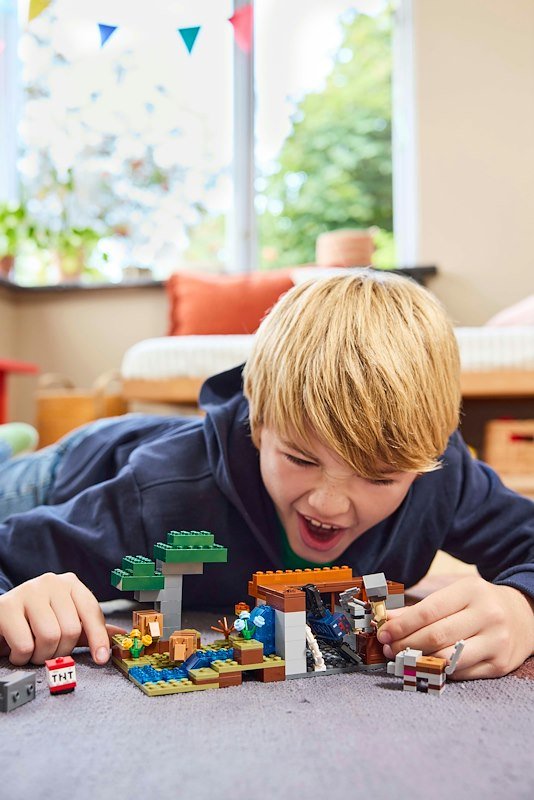 Lego Minecraft Spedizione nella miniera dell’armadillo 21269