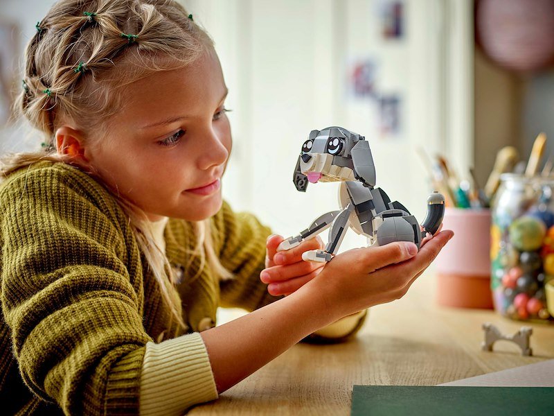 Lego Gatto giocoso - 31163