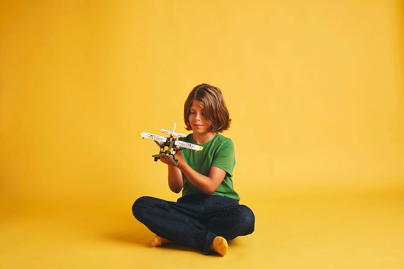 Lego® Technic Aereo Bush 42198