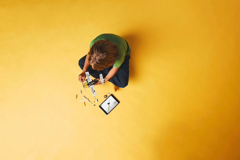 Lego® Technic Aereo Bush 42198