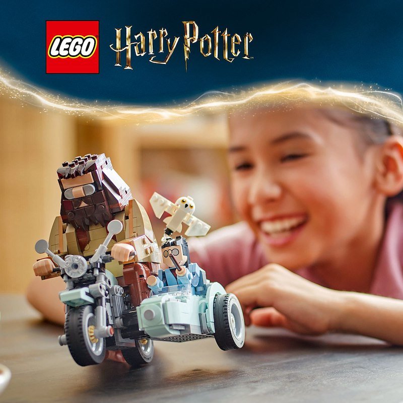 Lego Harry Potter Giro sul sidecar di Hagrid e Harry 76443