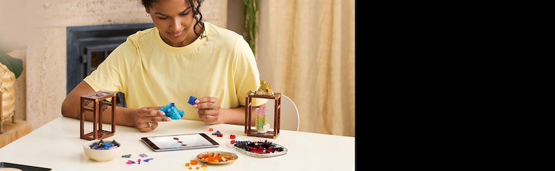 Lego COLLEZIONI DI MINERALI 21362