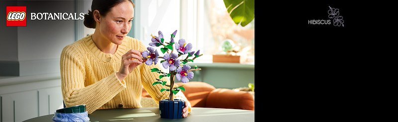 Lego Ibisco 10372