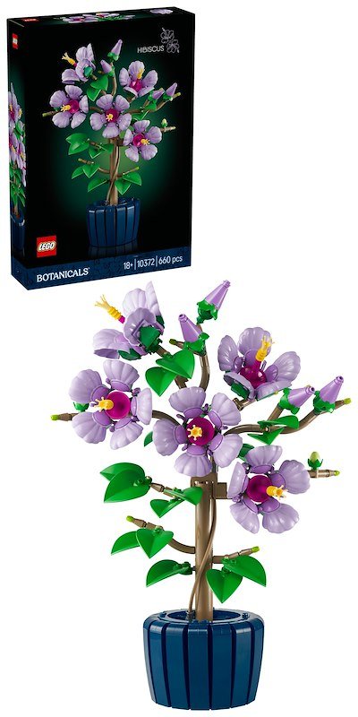 Lego Ibisco 10372