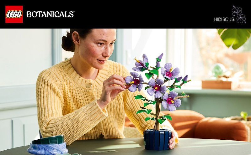 Lego Ibisco 10372