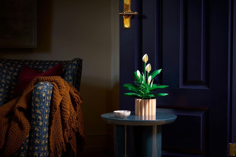 Lego SPATIFILLO LEGO BOTANICALS 11504