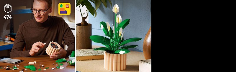 Lego SPATIFILLO LEGO BOTANICALS 11504