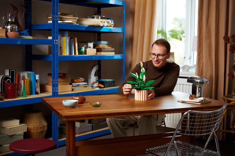 Lego SPATIFILLO LEGO BOTANICALS 11504