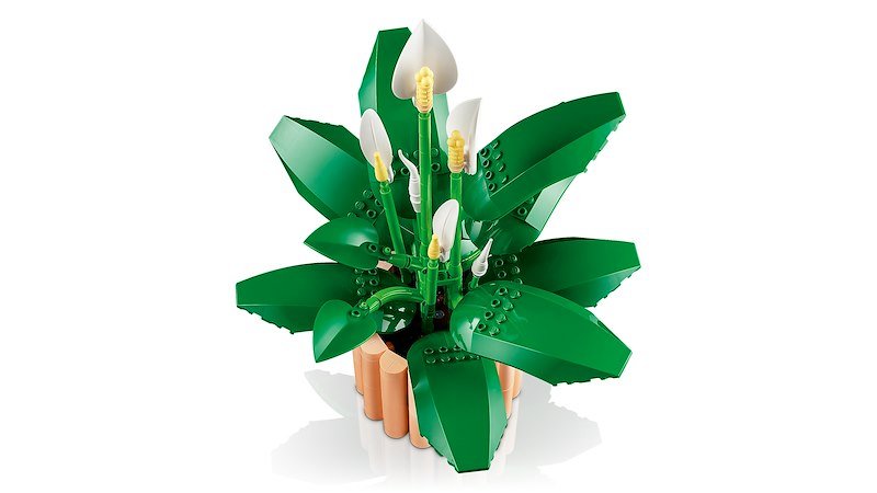 Lego SPATIFILLO LEGO BOTANICALS 11504