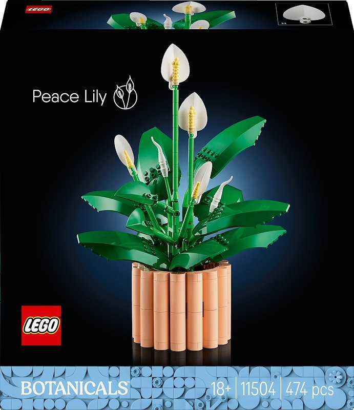 Lego SPATIFILLO LEGO BOTANICALS 11504