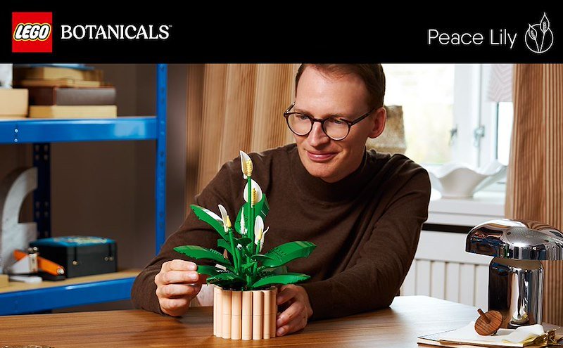 Lego SPATIFILLO LEGO BOTANICALS 11504