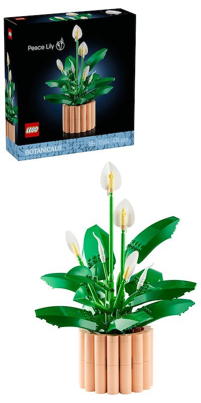 Lego SPATIFILLO LEGO BOTANICALS 11504