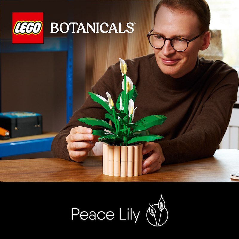 Lego SPATIFILLO LEGO BOTANICALS 11504