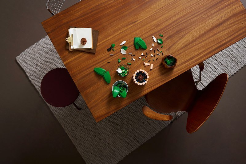 Lego SPATIFILLO LEGO BOTANICALS 11504