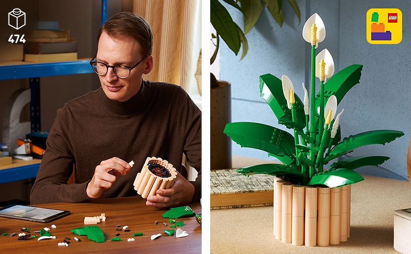 Lego SPATIFILLO LEGO BOTANICALS 11504