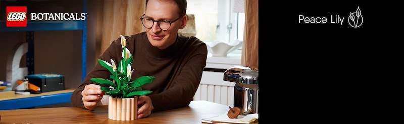 Lego SPATIFILLO LEGO BOTANICALS 11504