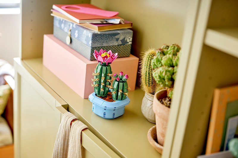 Lego CACTUS IN FIORE 11509
