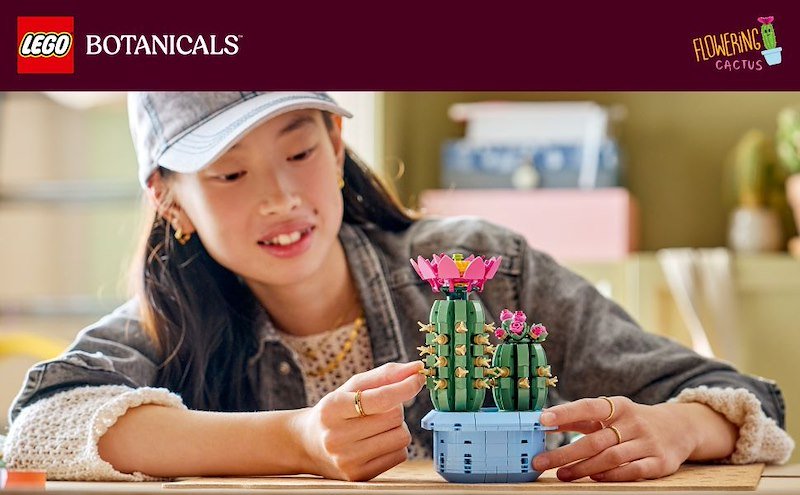 Lego CACTUS IN FIORE 11509