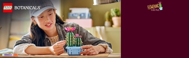 Lego CACTUS IN FIORE 11509