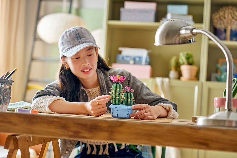 Lego CACTUS IN FIORE 11509