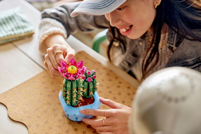 Lego CACTUS IN FIORE 11509